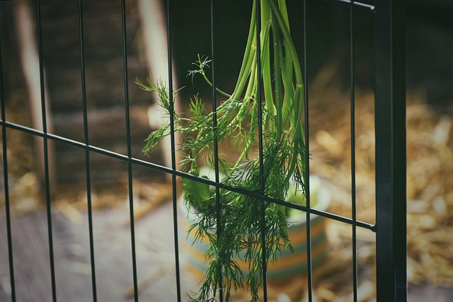 Kratom je přírodní rostlina. 