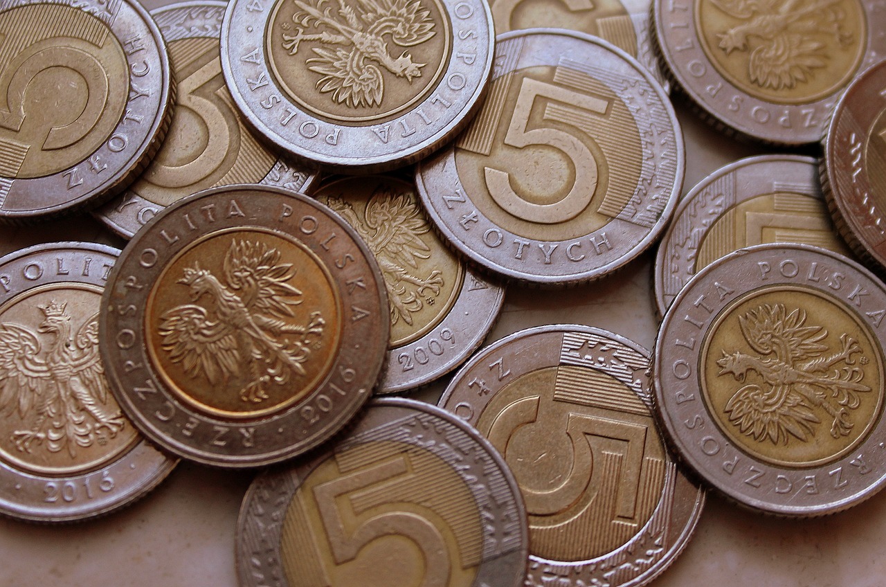 cizí mince